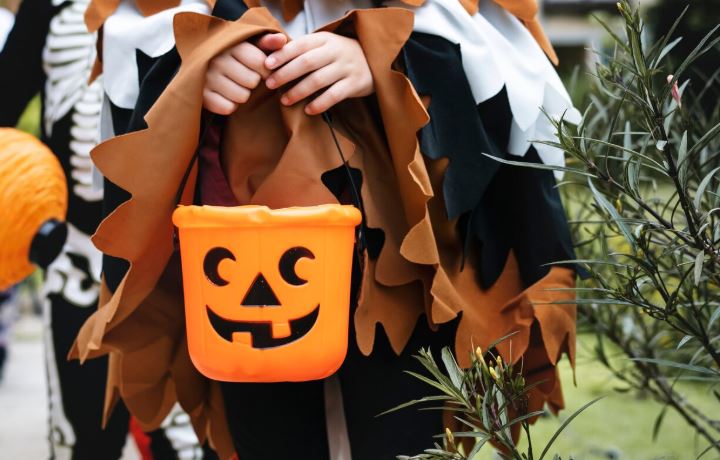 할로윈 과자봉지서 마약 성분 의심 물질 발견… 부모 꼭 확인해야 - CKNNews 이미지